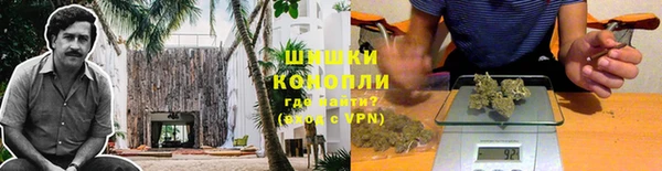шишки Куйбышев