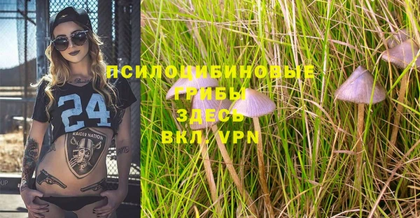 шишки Куйбышев