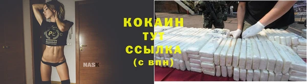 шишки Куйбышев