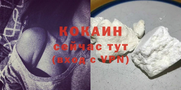 шишки Куйбышев