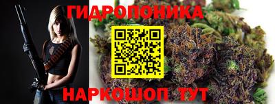 2c-b Гусиноозёрск