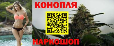 скорость Гатчина