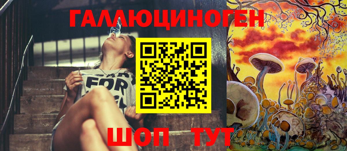 наркошоп  Краснодар  Псилоцибиновые грибы MAGIC MUSHROOMS  Галлюциногенные грибы прущие грибы 