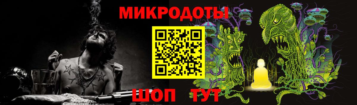Краснодар  Псилоцибиновые грибы Cubensis  Вход с VPN 